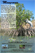 Goverment compliance signsage: Mangrove Education Dispaly Sign, Mangove Ecosystem Awareness