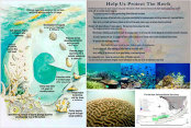 Goverment compliance signsage: Protect Our Coral Reefs, Coral Reef Cycle of Life